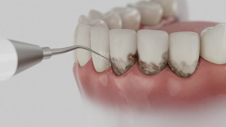 Reliable Dental contractor in Forest Oaks, NC by Dentist Open Now